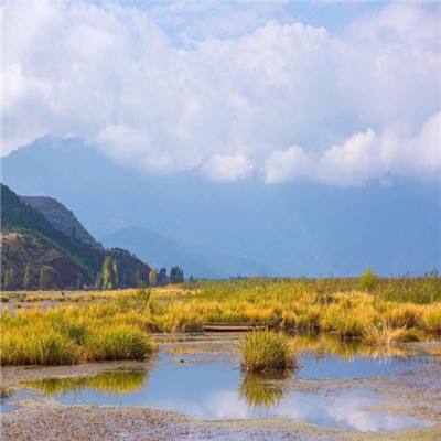 果盘乾坤天地bt手游下载
